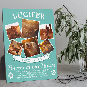 Teal Pet Memorial Keepsake Plaque