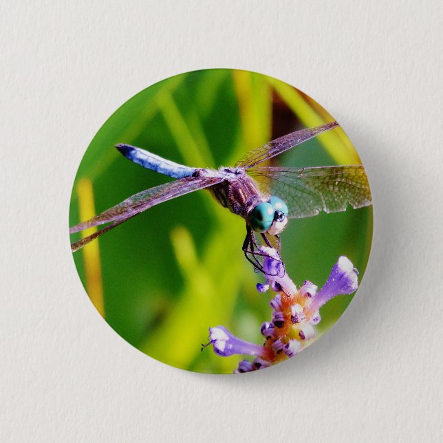 Teal & purple Dragonfly Button (Front)