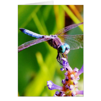 Teal & purple Dragonfly Cards