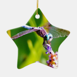 Teal & purple Dragonfly Ceramic Ornament
