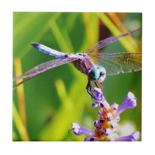 Teal & purple Dragonfly Ceramic Tile