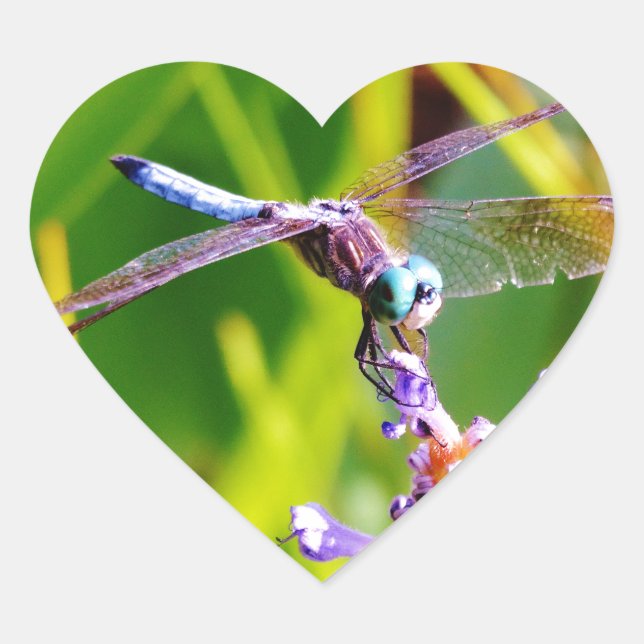 Teal & purple Dragonfly Heart Sticker (Front)