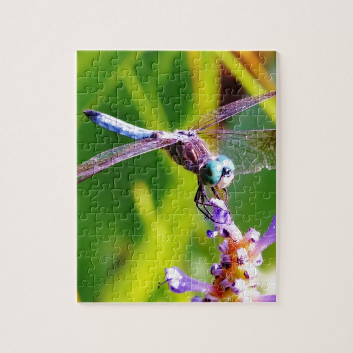 Teal & purple Dragonfly Jigsaw Puzzle