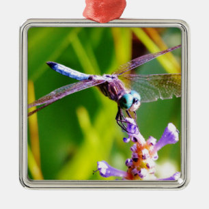 Teal & purple Dragonfly Metal Ornament