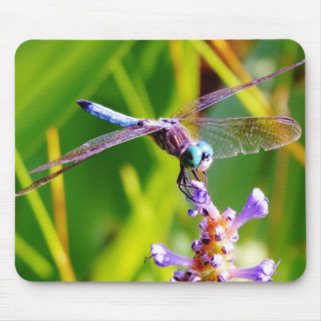 Teal & purple Dragonfly Mouse Pad (Front)