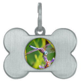 Teal & purple Dragonfly Pet Name Tag