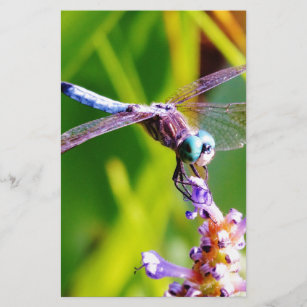 Teal & purple Dragonfly Stationery