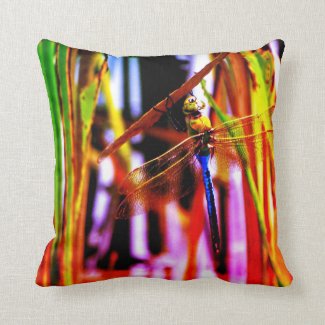 teal purple pink yellow  dragonfly, Rainbow pillow