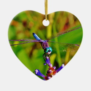 Teal Rainbow Dragonfly Ceramic Ornament