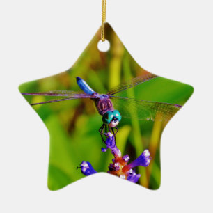 Teal Rainbow Dragonfly Ceramic Ornament