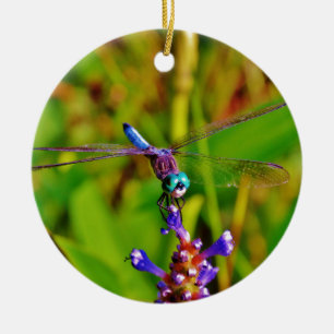 Teal Rainbow Dragonfly Ceramic Ornament