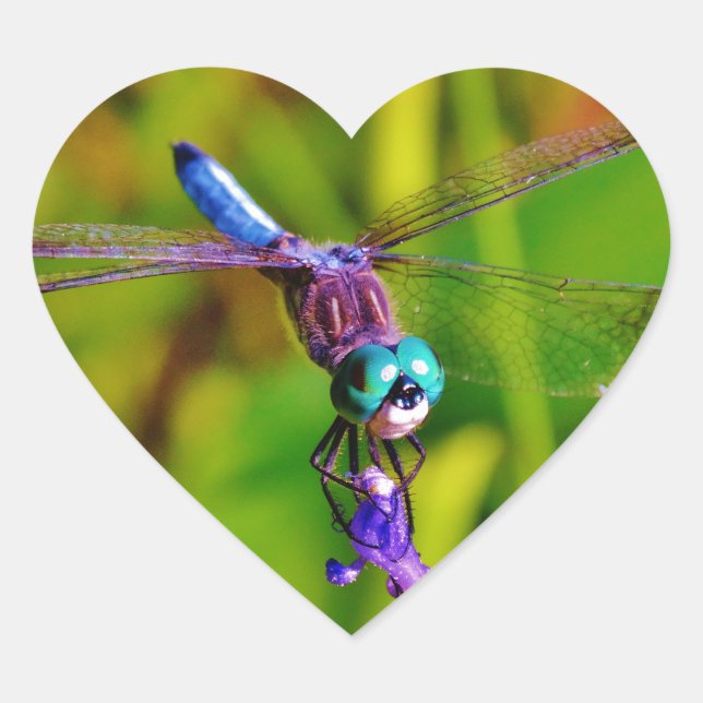 Teal Rainbow Dragonfly Heart Sticker (Front)