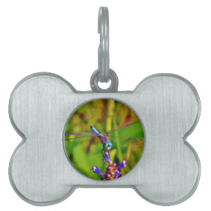 Teal Rainbow Dragonfly Pet ID Tag