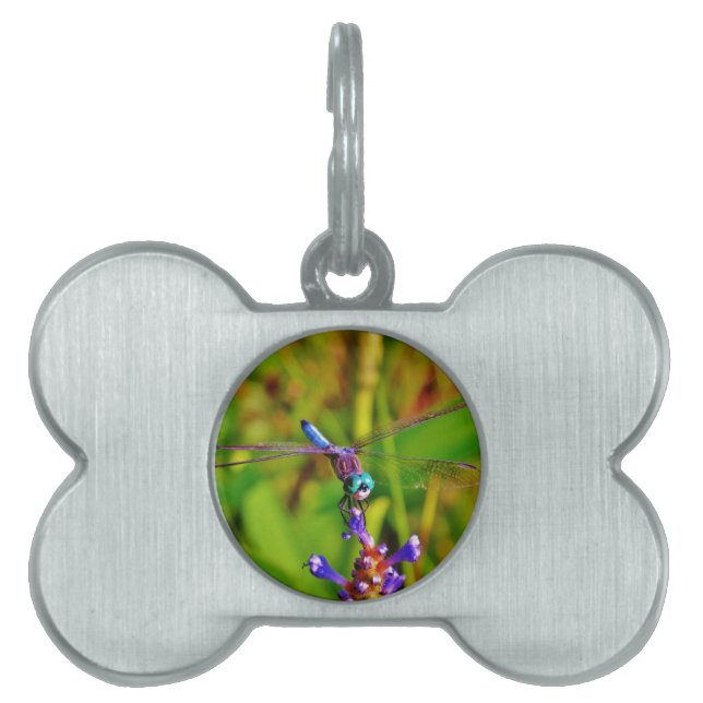 Teal Rainbow Dragonfly Pet ID Tag (Front)