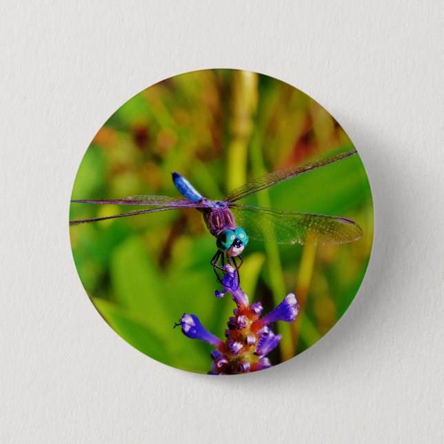 Teal Rainbow Dragonfly Pinback Button (Front)