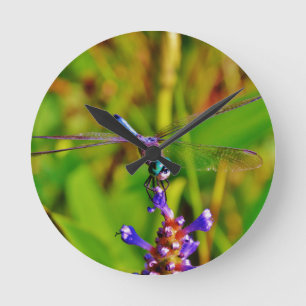 Teal Rainbow Dragonfly Round Clock