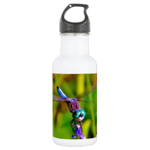 Teal Rainbow Dragonfly Stainless Steel Water Bottle