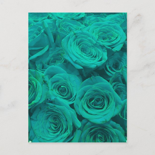 teal roses postcard (Front)