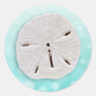 Teal Sand dollar wedding Sticker