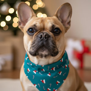 Teal Santa Hat Personalized Christmas Dog Bandana
