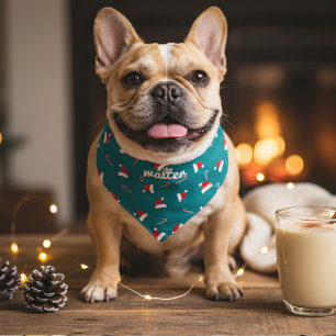 Teal Santa Hat Personalized Christmas Dog Pet Bandana Collar