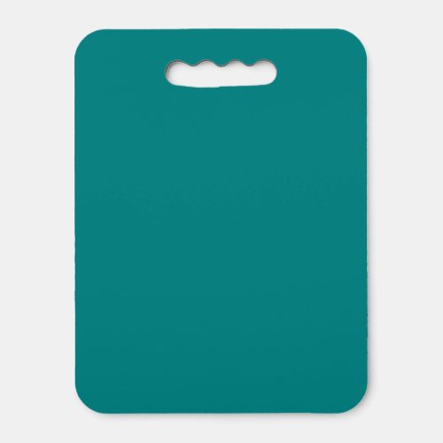 Teal Solid Color  Classic  Elegant Seat Cushion