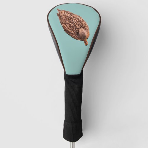 Teal Swimming Female Duck Golf Head Cover