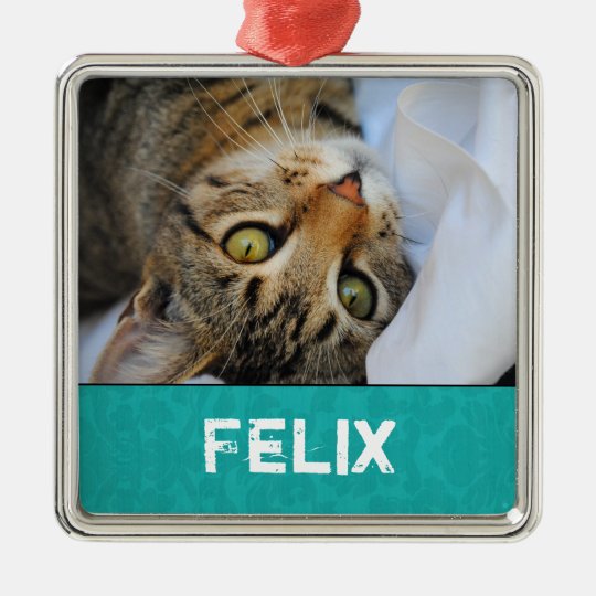 Teal Vintage Personalized Pet Photo Ornament