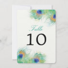 Teal Watercolor Peacock Feather | Table Number