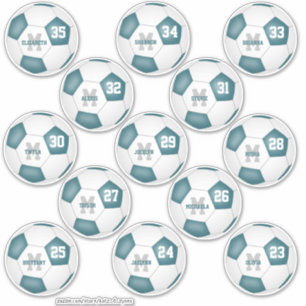 teal white team colors individual soccer players sticker