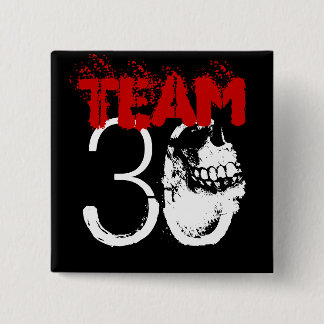 Team 30 pinback button