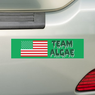 Team Algae Reflecting Pool Funny Anti-Trump Bumper Sticker
