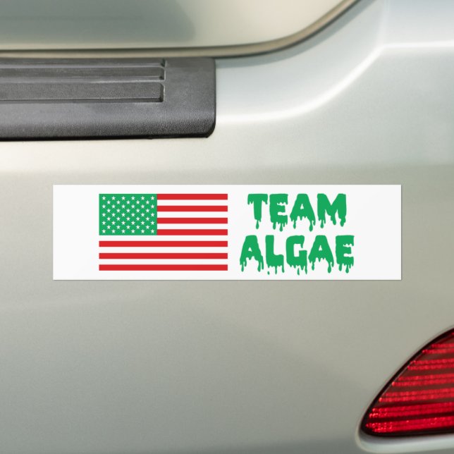 Team Algae Reflecting Pool Funny Anti-Trump Bumper Sticker (On Car)