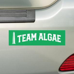 Team Algae Reflecting Pool Funny Anti-Trump Bumper Sticker