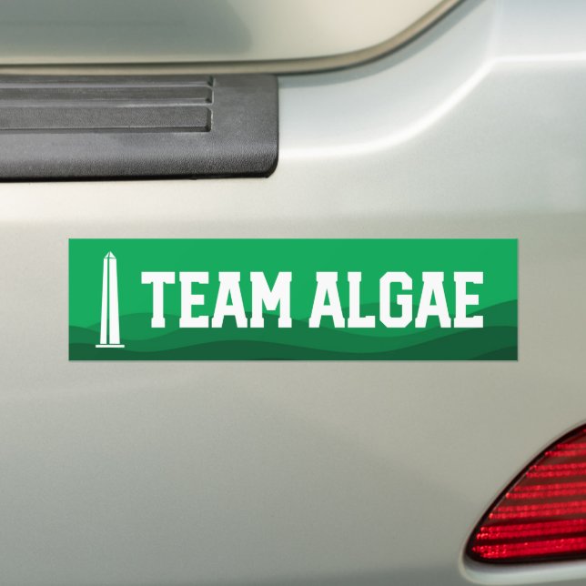 Team Algae Reflecting Pool Funny Anti-Trump Bumper Sticker (On Car)