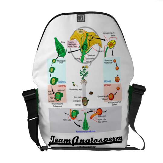 Team Angiosperm (Alternation Of Generations) Courier Bag