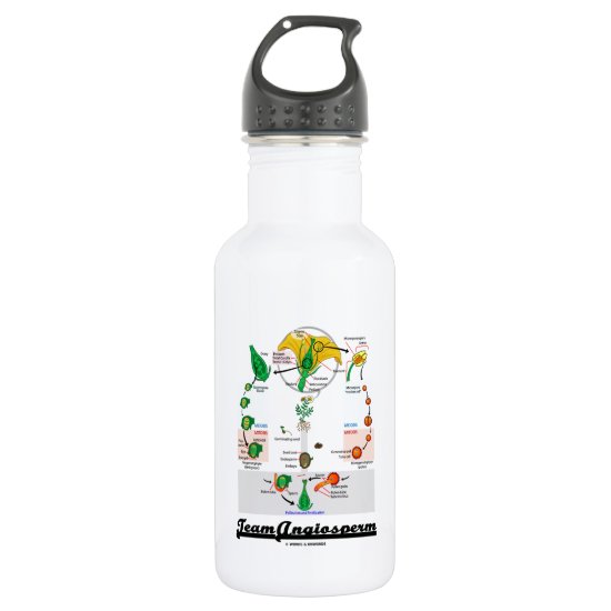 Team Angiosperm Alternation Of Generations Flower Stainless Steel Water Bottle