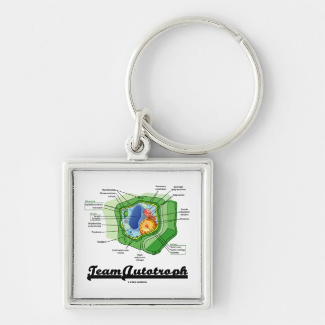 Team Autotroph (Plant Cell Biology) Keychain (Front)