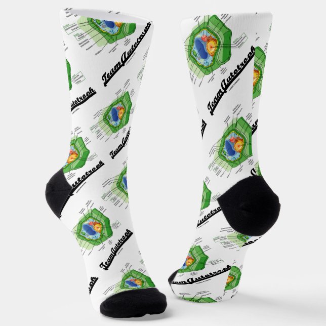 Team Autotroph Plant Cell Biology Socks (Angled)