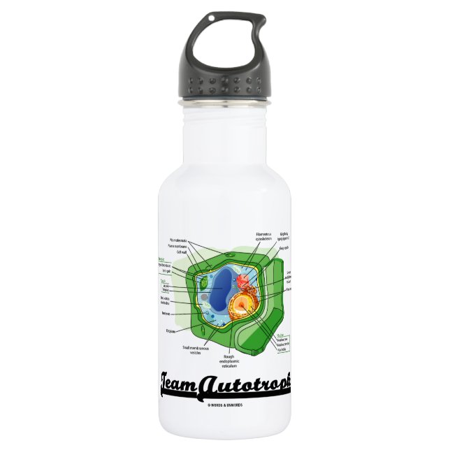 Team Autotroph (Plant Cell Biology) Water Bottle (Front)