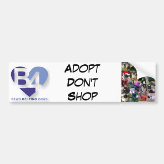 Team B4 Bumper Sticker