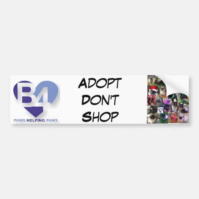 Team B4 Bumper Sticker (Front)