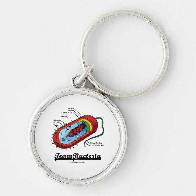 Team Bacteria (Prokaryote) Keychain (Front)