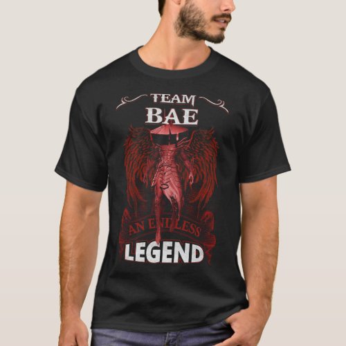 Team BAE _ An Endless LEGEND T_Shirt