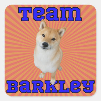 Team Barkley - Square Stickers, Glossy Sticker