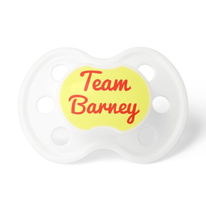 Team Barney Pacifier