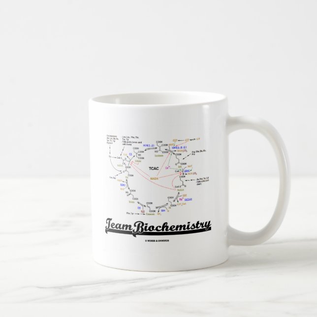 Team Biochemistry (Krebs Cycle Citric Acid Cycle) Coffee Mug (Right)