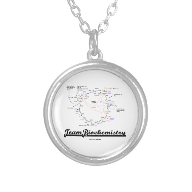 Team Biochemistry (Krebs Cycle Humor) Silver Plated Necklace (Front)