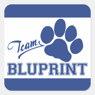 Team BluPrint Square Stickers