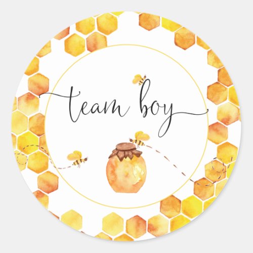 Team Boy Bee Theme Gender Reveal Stickers